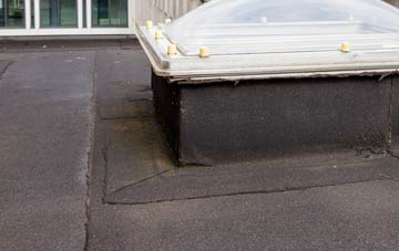 disadvantages of New Lanark flat roofs