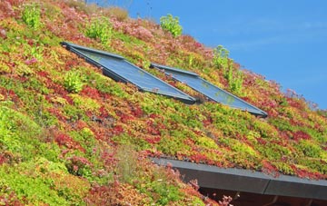 New Lanark living roof systems